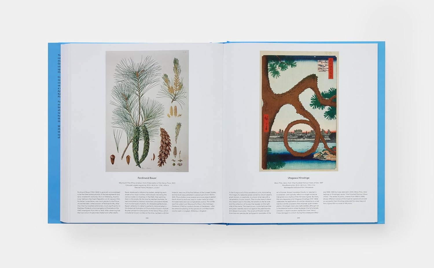 Tree book inside