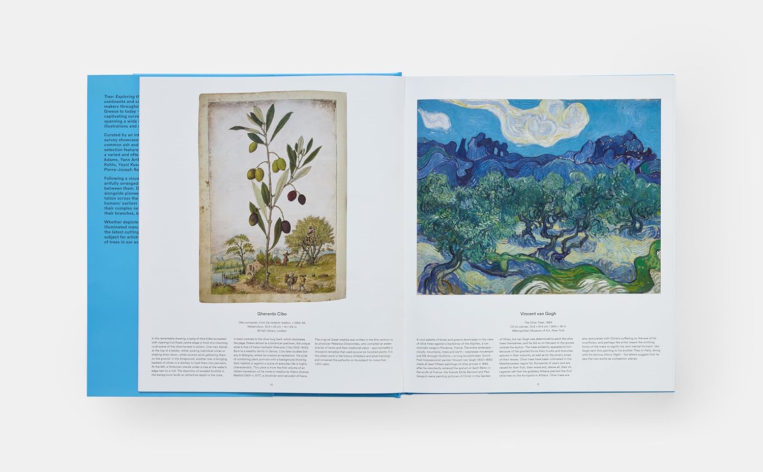 Tree book inside