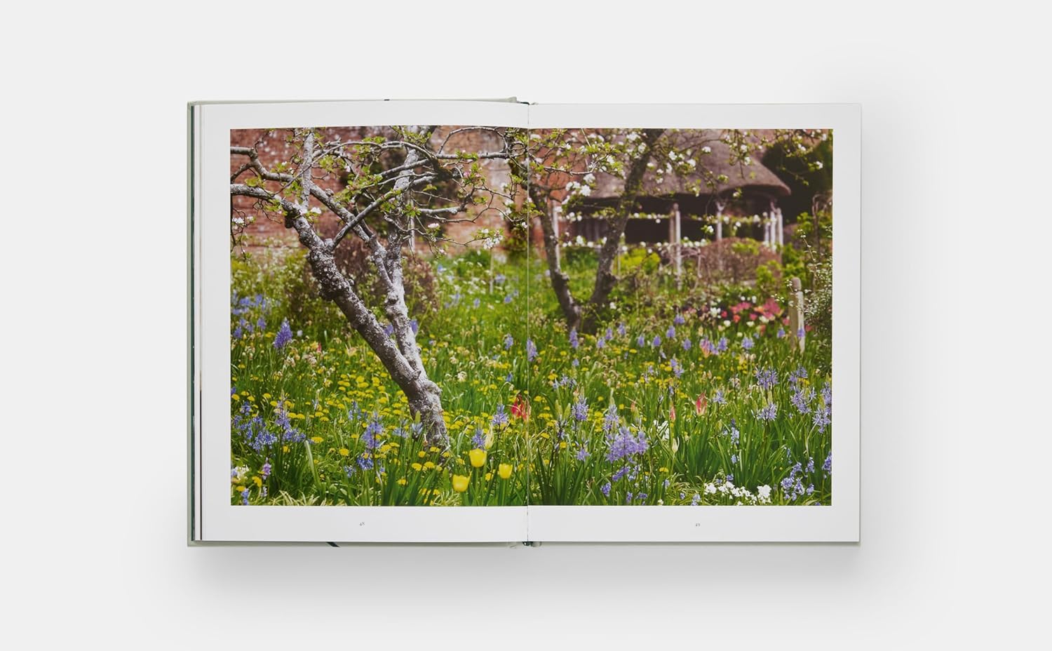 The Tulip Garden book inside