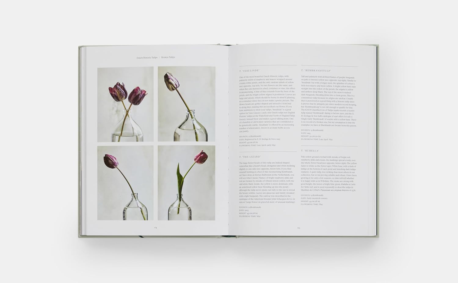 The Tulip Garden book inside
