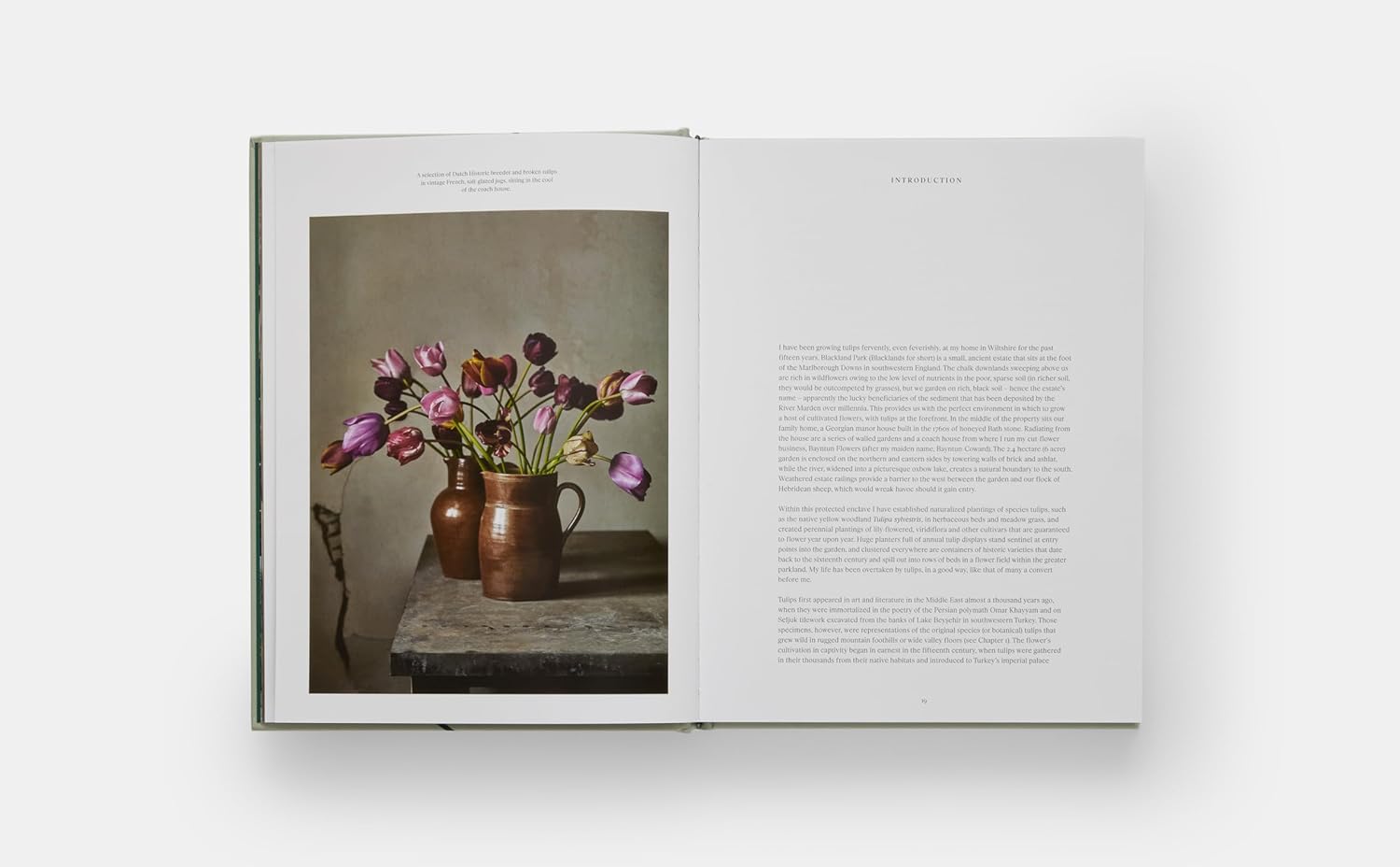The Tulip Garden book inside