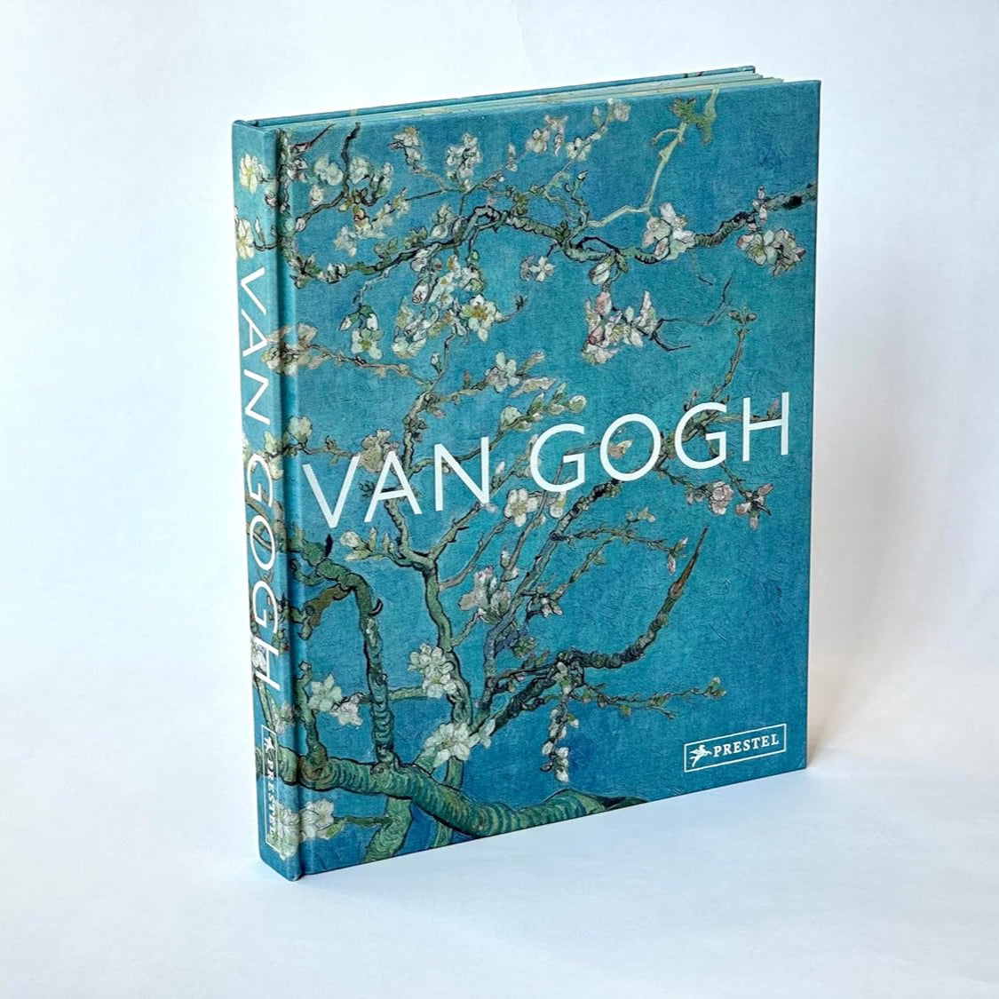 Van Gogh: The Bigger Picture book cover