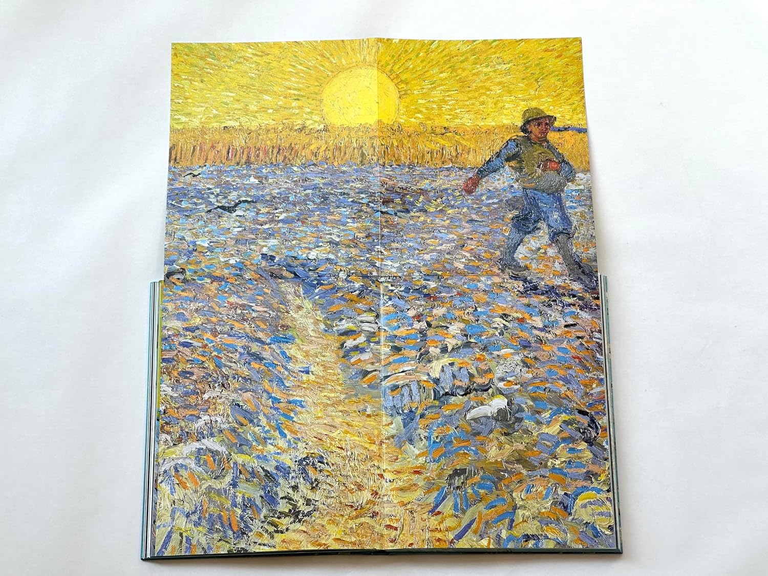 Van Gogh: The Bigger Picture book inside