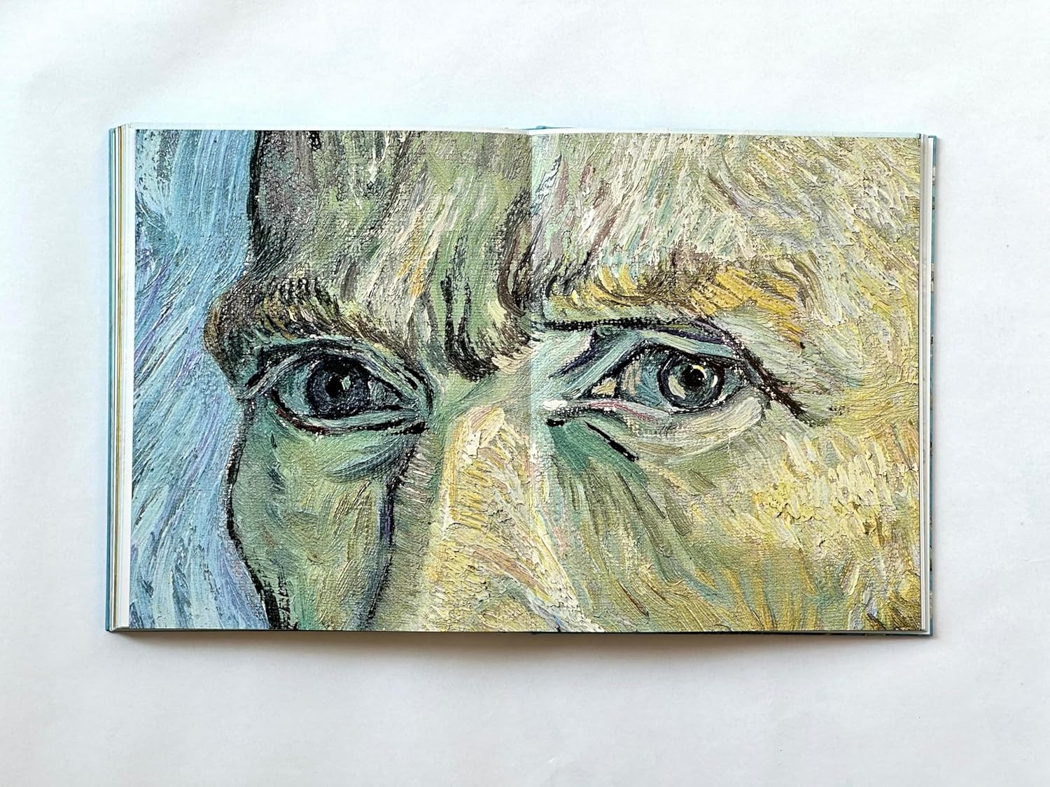 Van Gogh: The Bigger Picture book inside