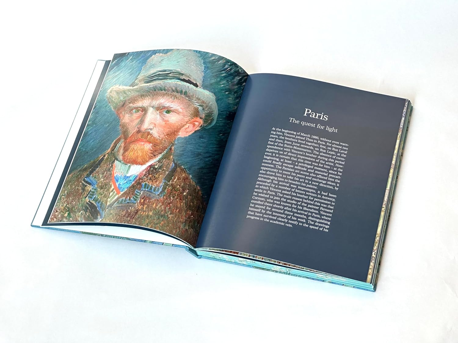 Van Gogh: The Bigger Picture book inside