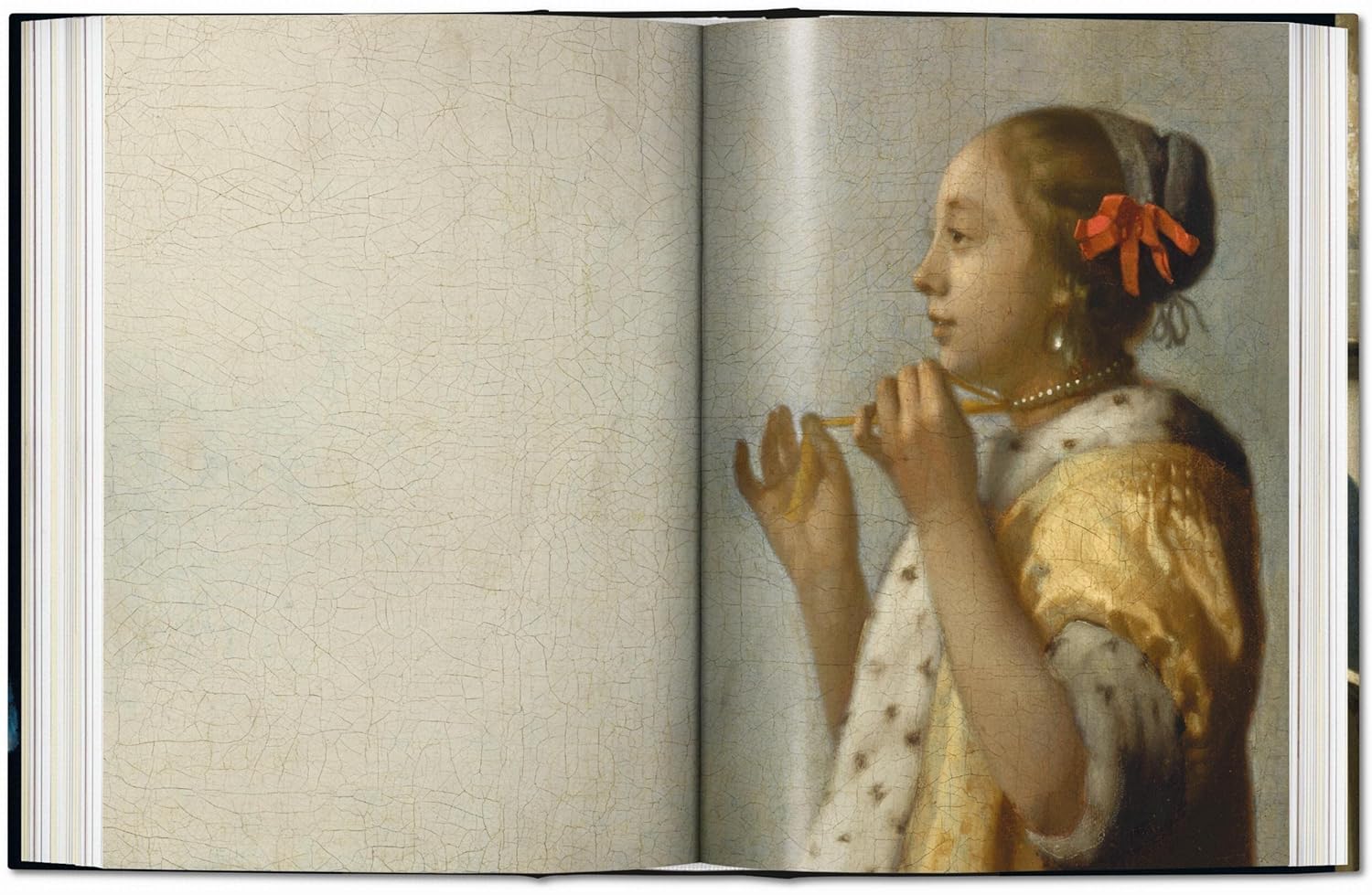 Vermeer: the Complete Works book inside