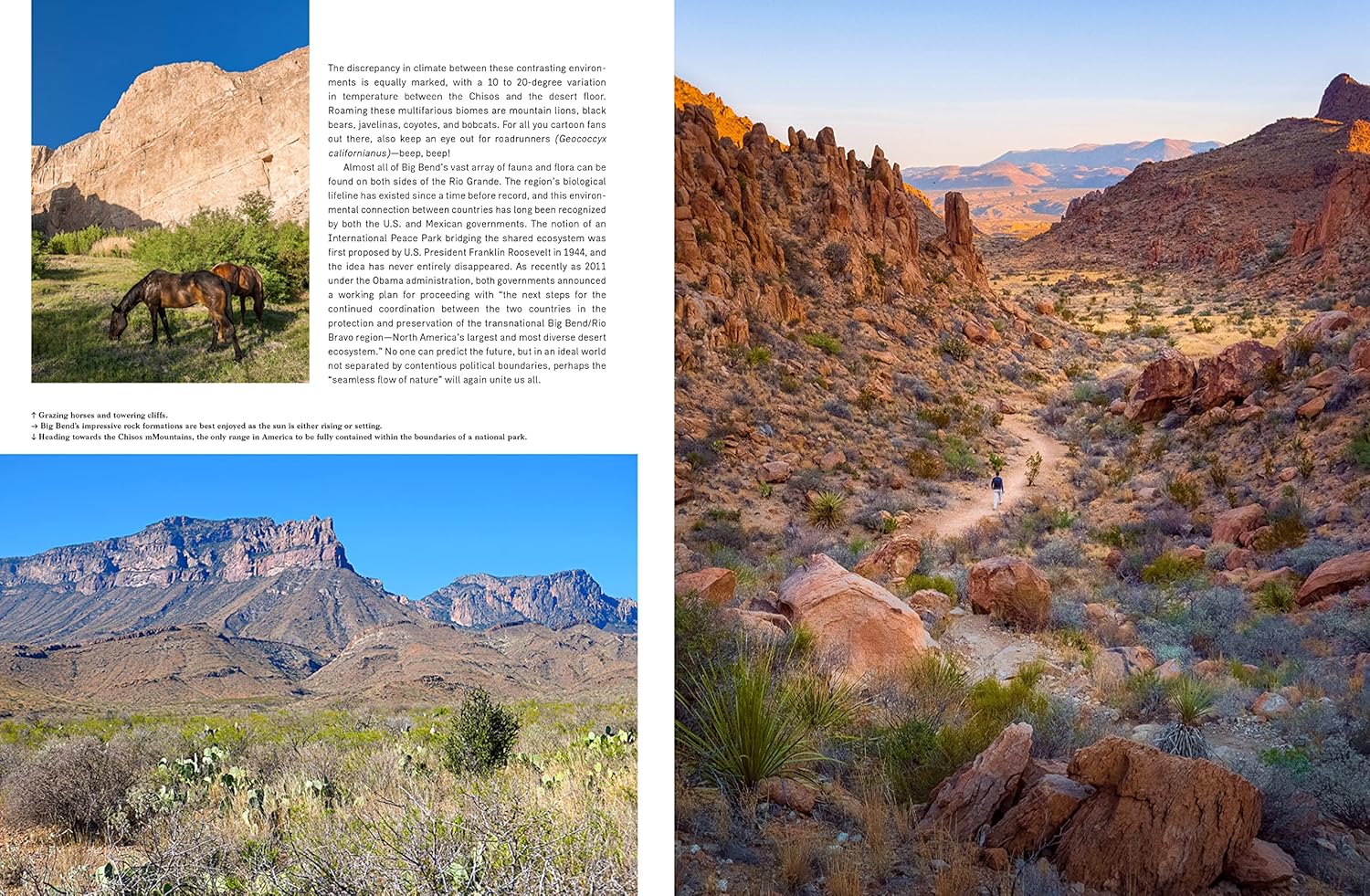 Wanderlust USA book inside