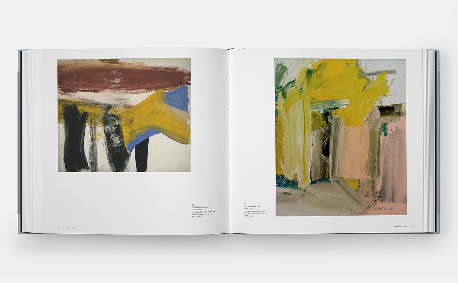 A Way of Living: The Art of Willem de Kooning book inside