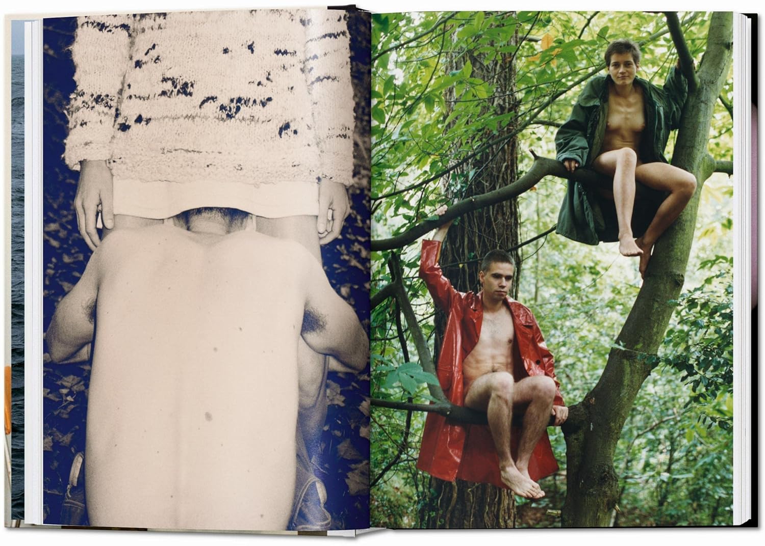 Wolfgang Tillmans: Four Books inside