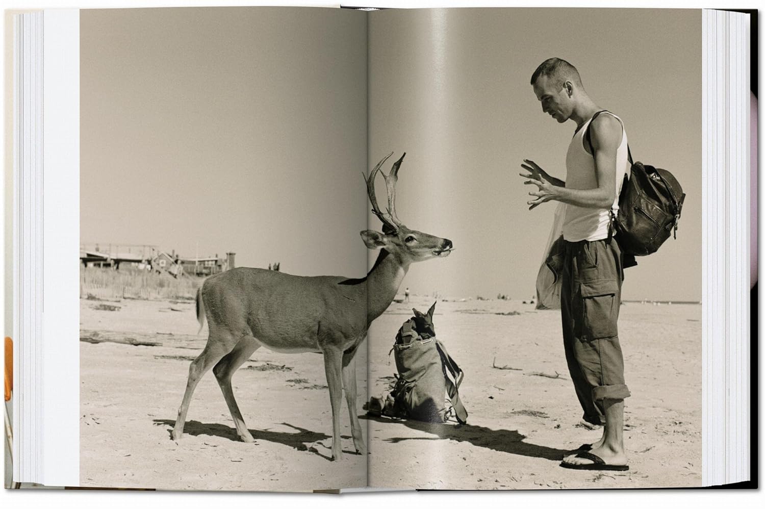 Wolfgang Tillmans: Four Books inside