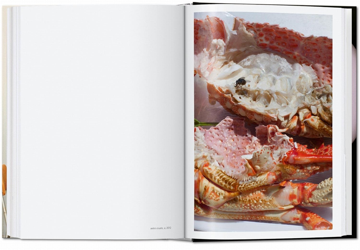 Wolfgang Tillmans: Four Books inside