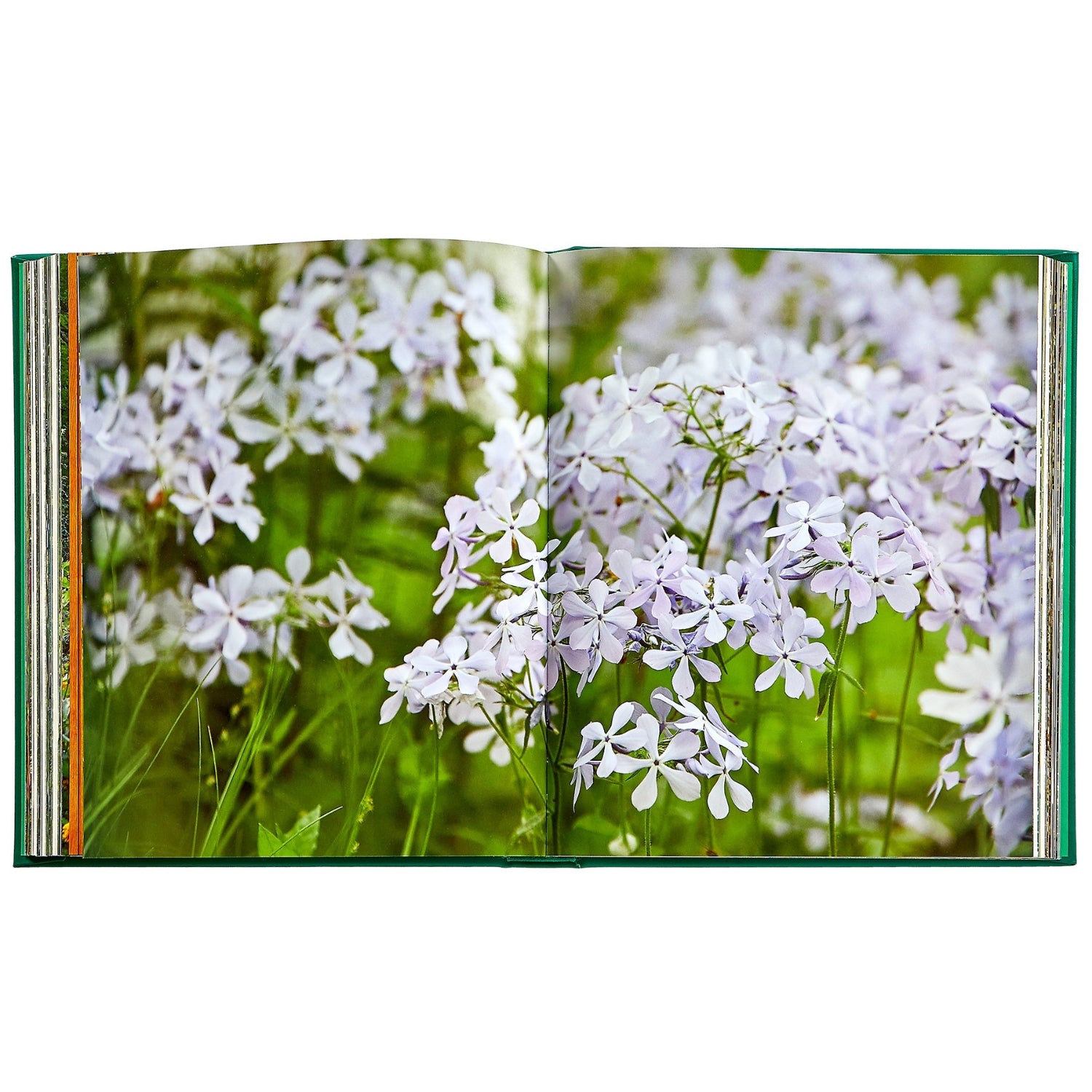 Bunny Williams: Life in the Garden book inside
