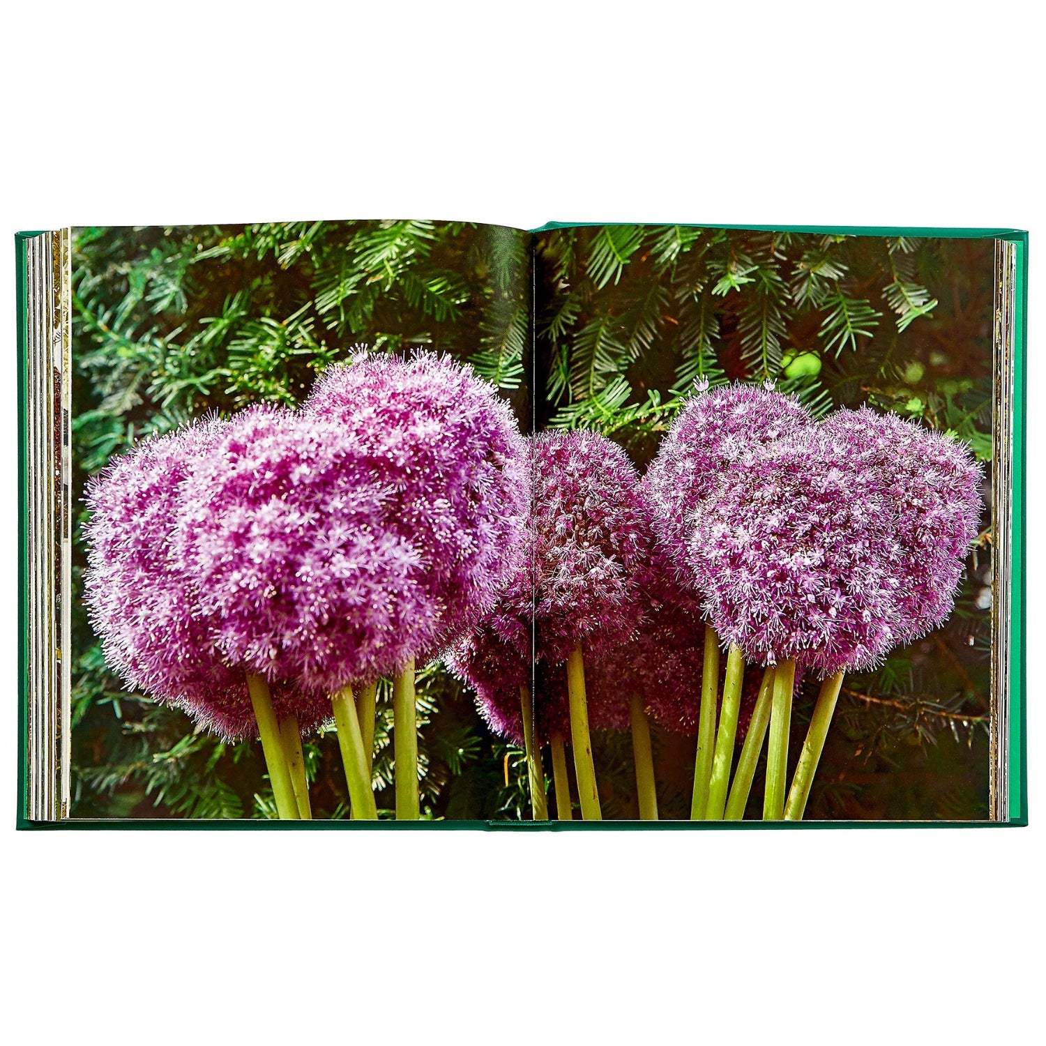 Bunny Williams: Life in the Garden book inside