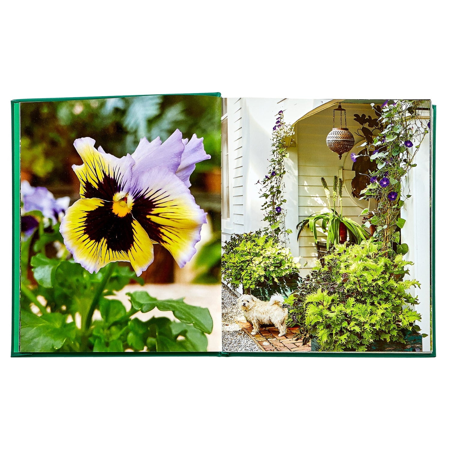 Bunny Williams: Life in the Garden book inside