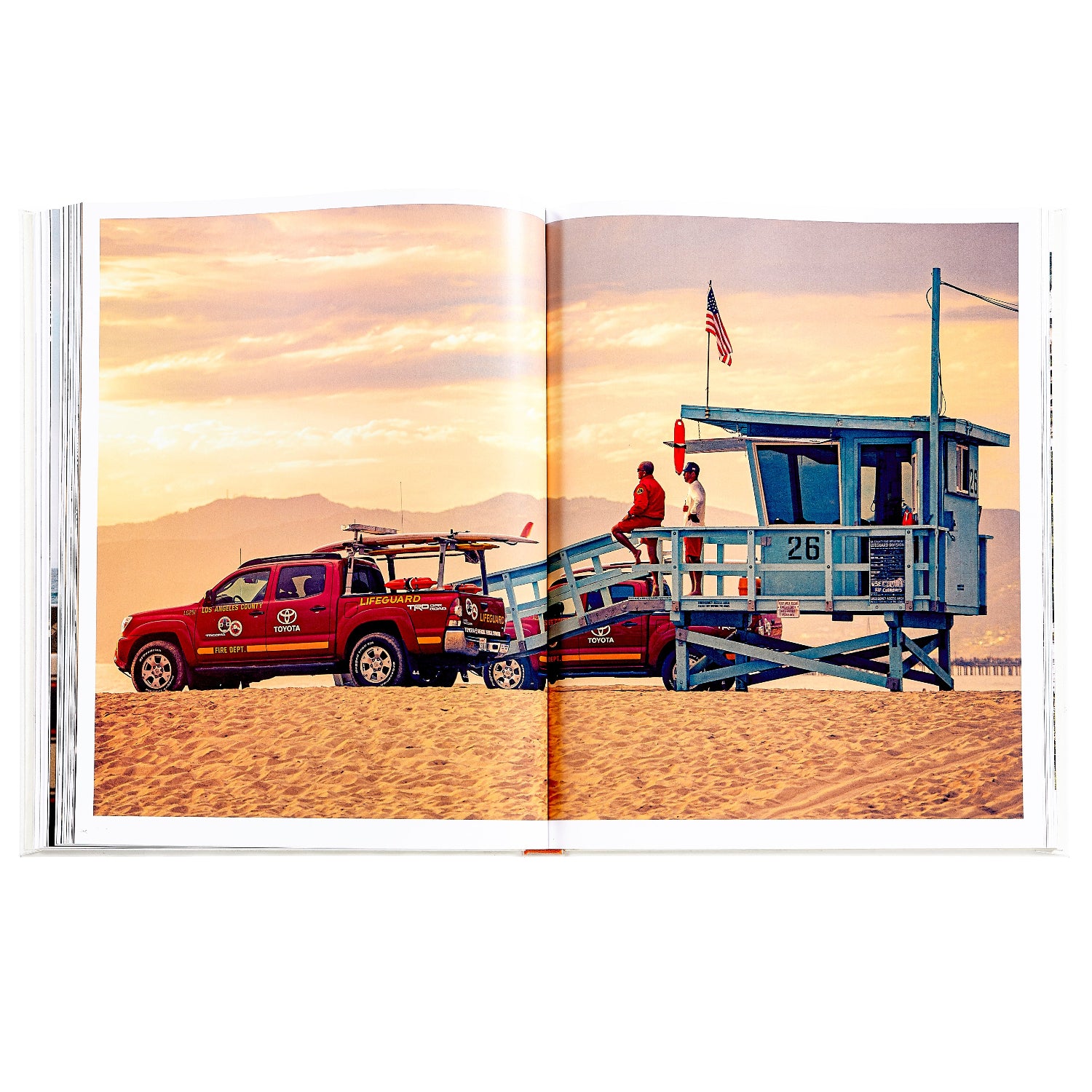 Beach Life book inside
