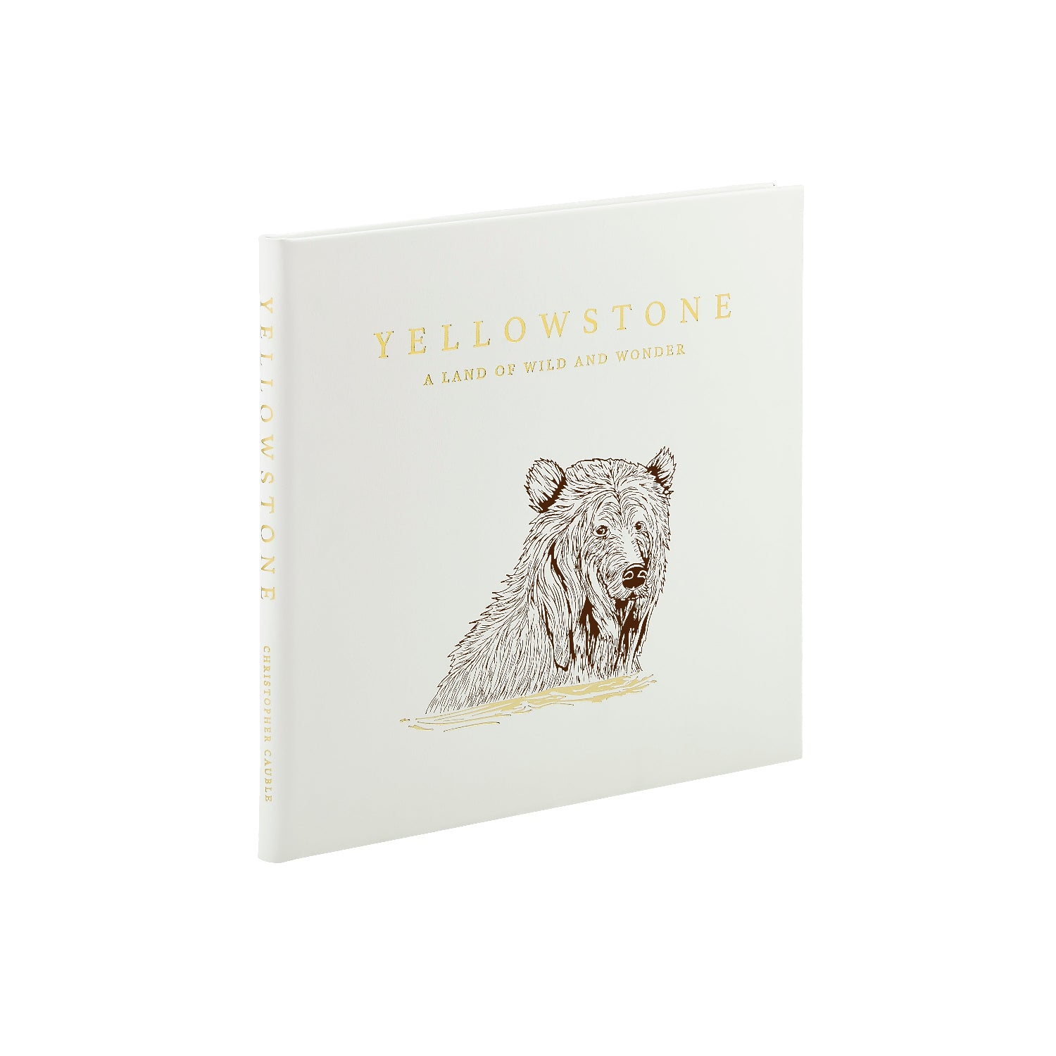 Yellowstone: A Land of Wild and Wonder book cover