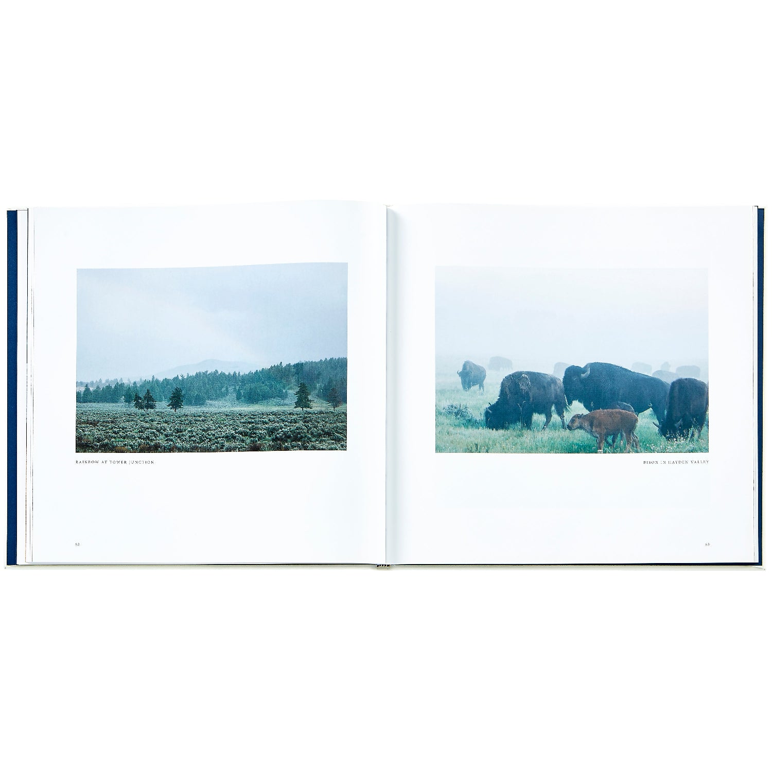 Yellowstone: A Land of Wild and Wonder book inside