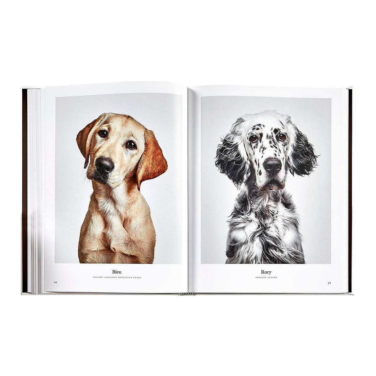 Good Dog book inside