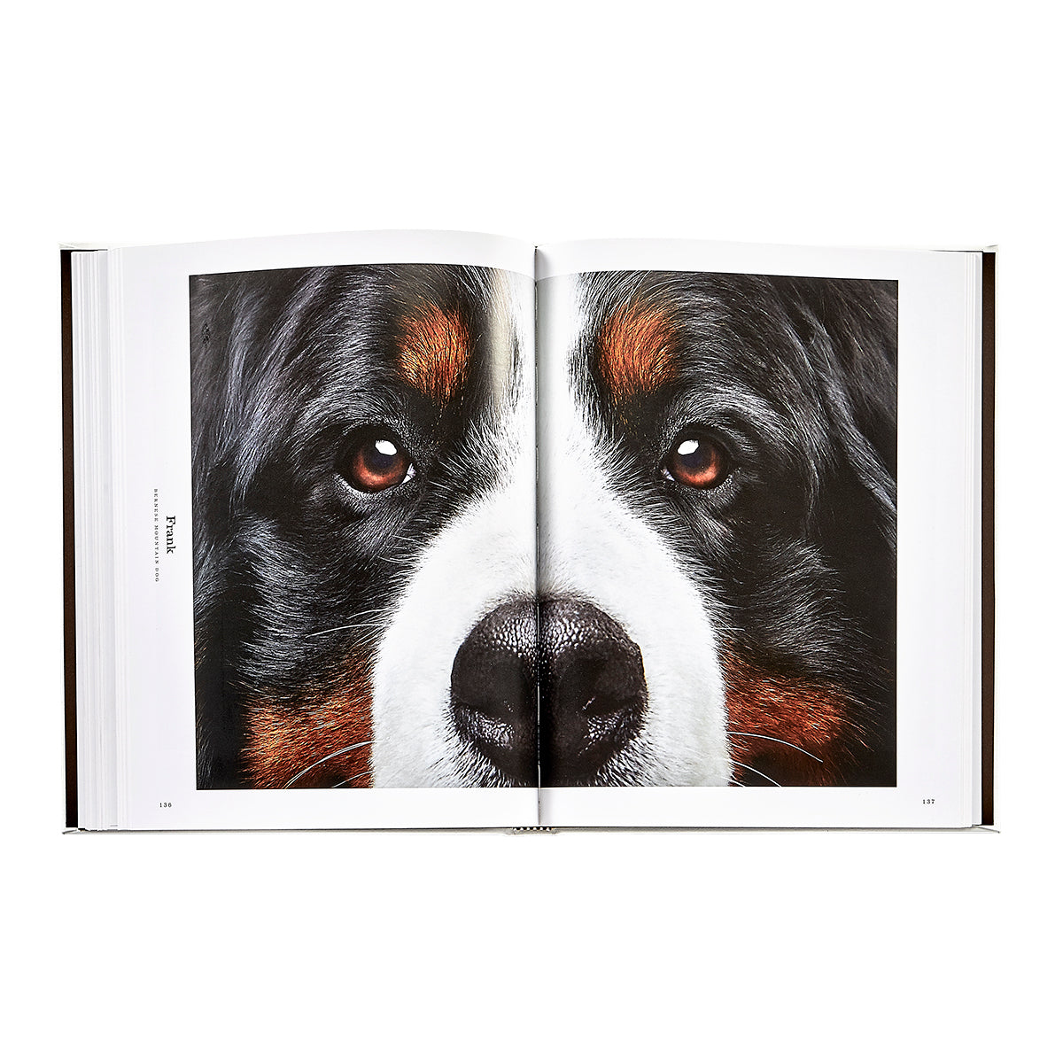 Good Dog book inside