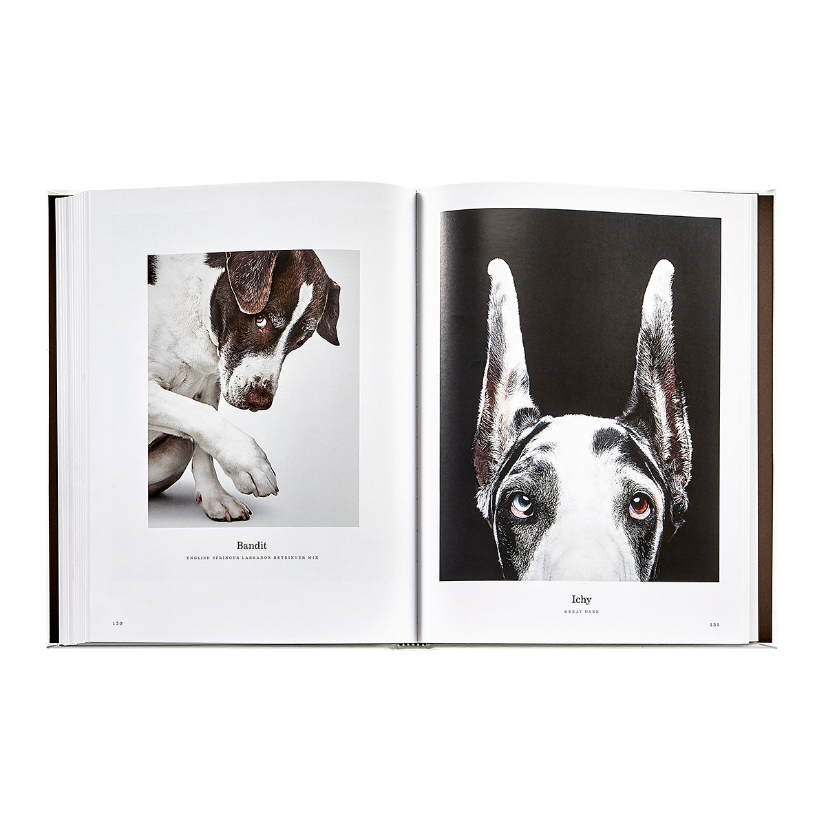 Good Dog book inside