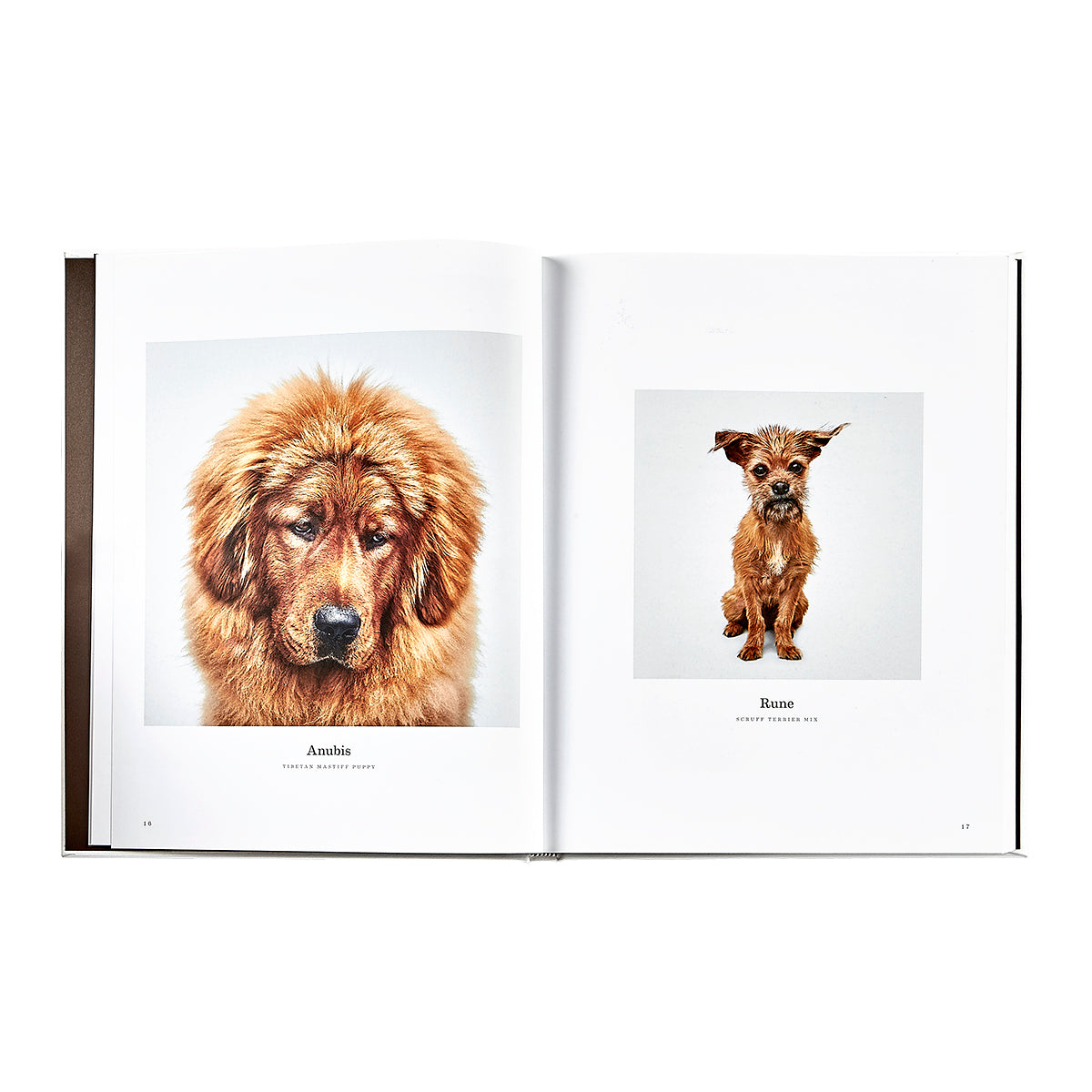 Good Dog book inside