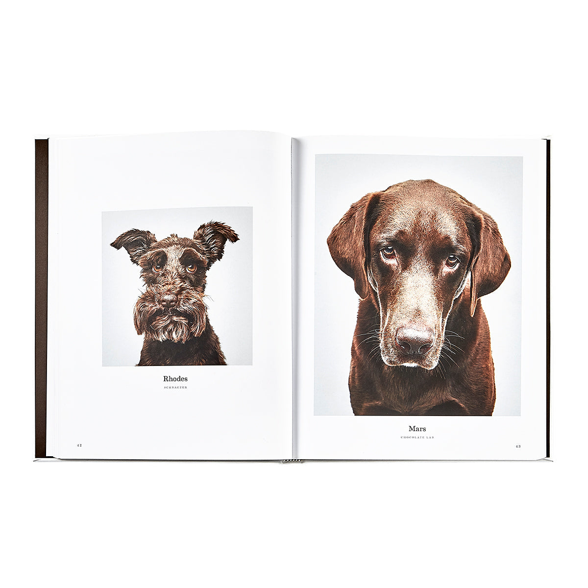 Good Dog book inside