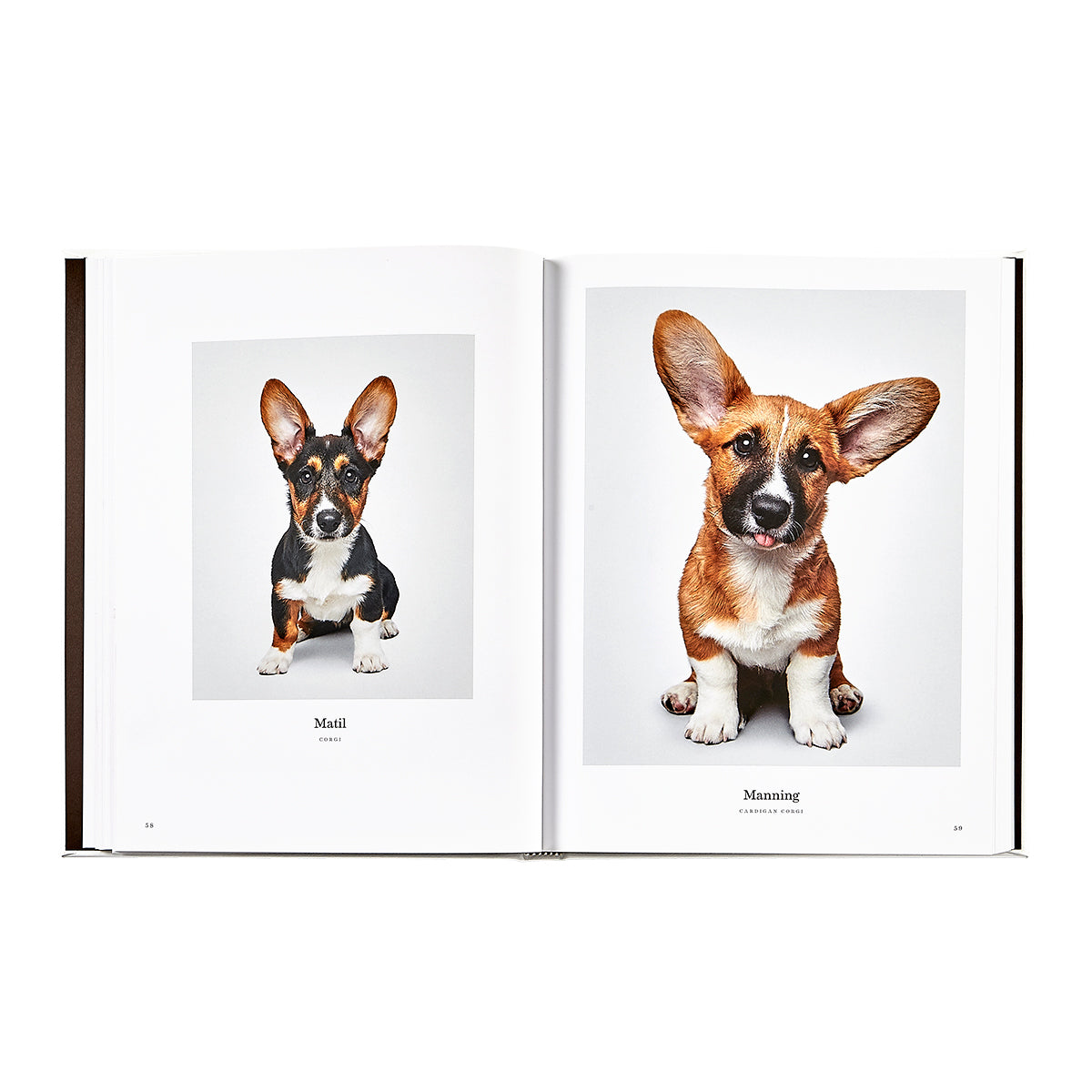 Good Dog book inside