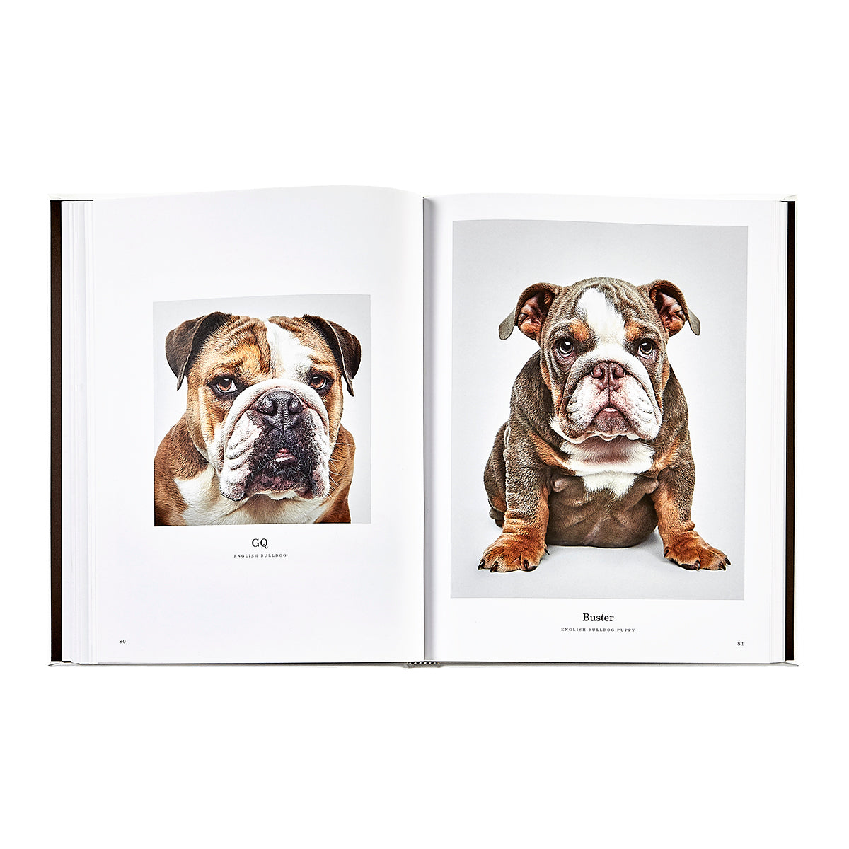 Good Dog book inside
