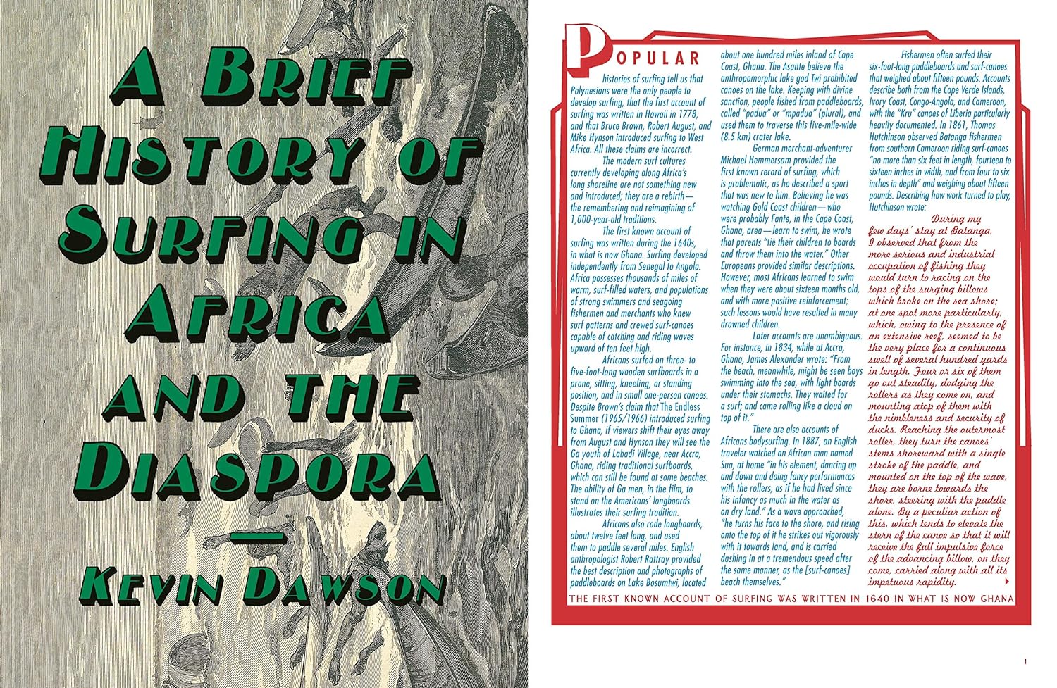 Afrosurf book inside