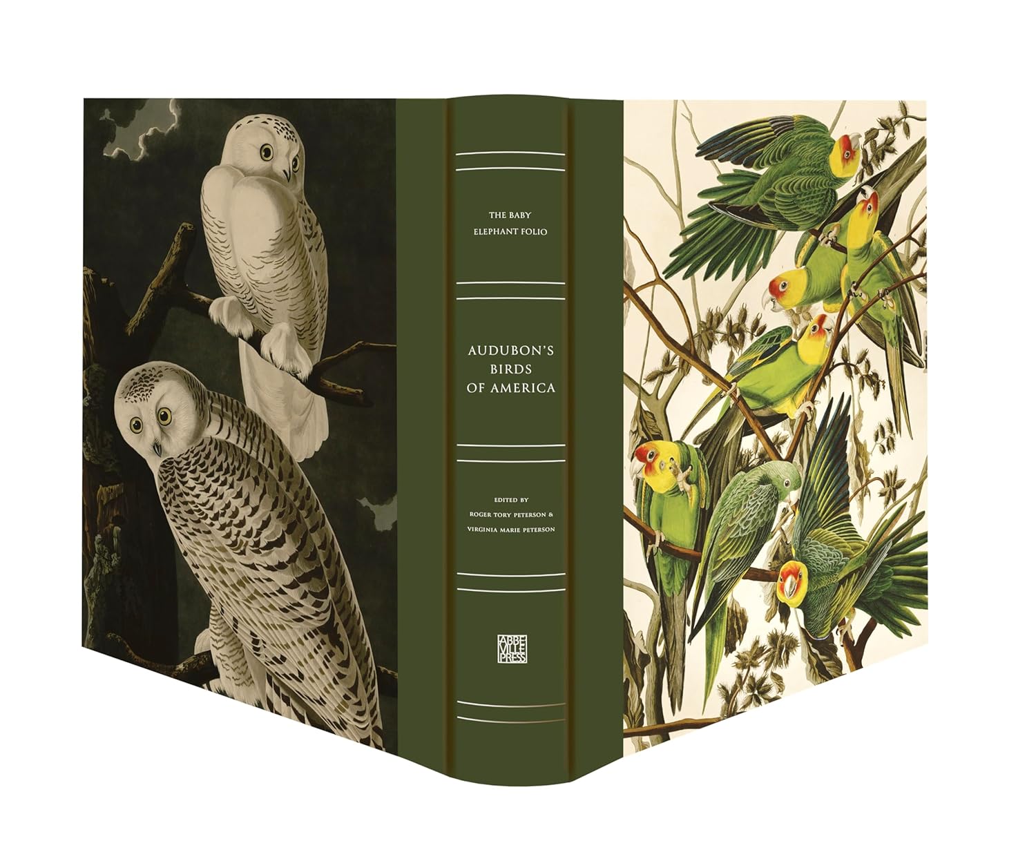 Audubon's Birds of America book cover