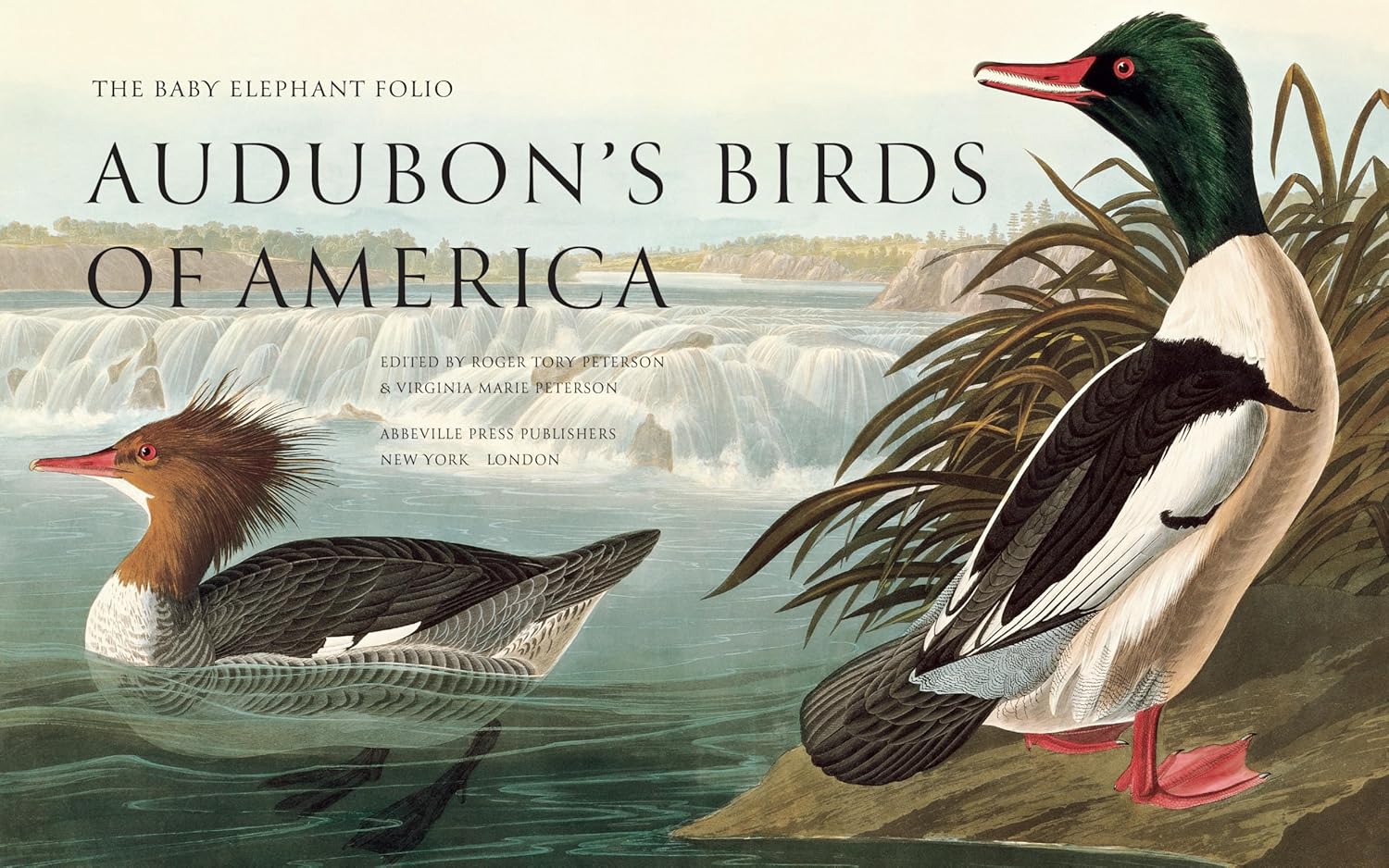 Audubon's Birds of America book inside