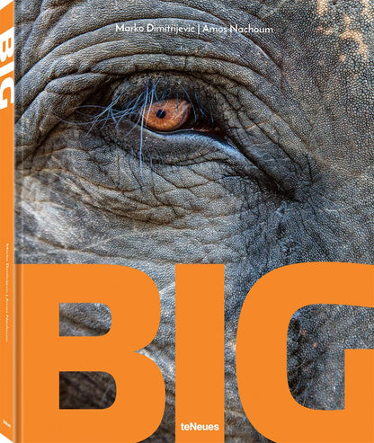Big: A Photographic Album of the World's Largest Animals (English and German)