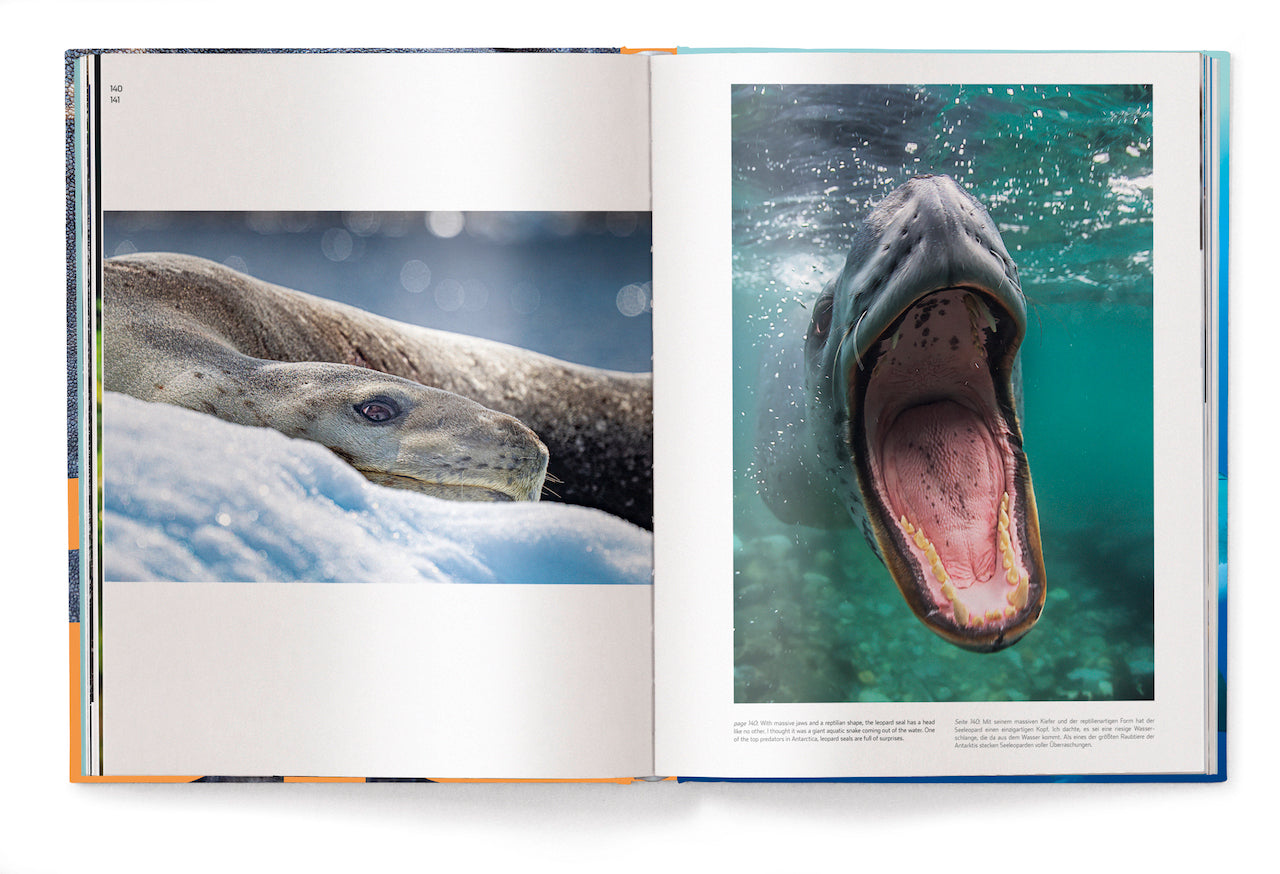 Big: A Photographic Album of the World's Largest Animals (English and German)
