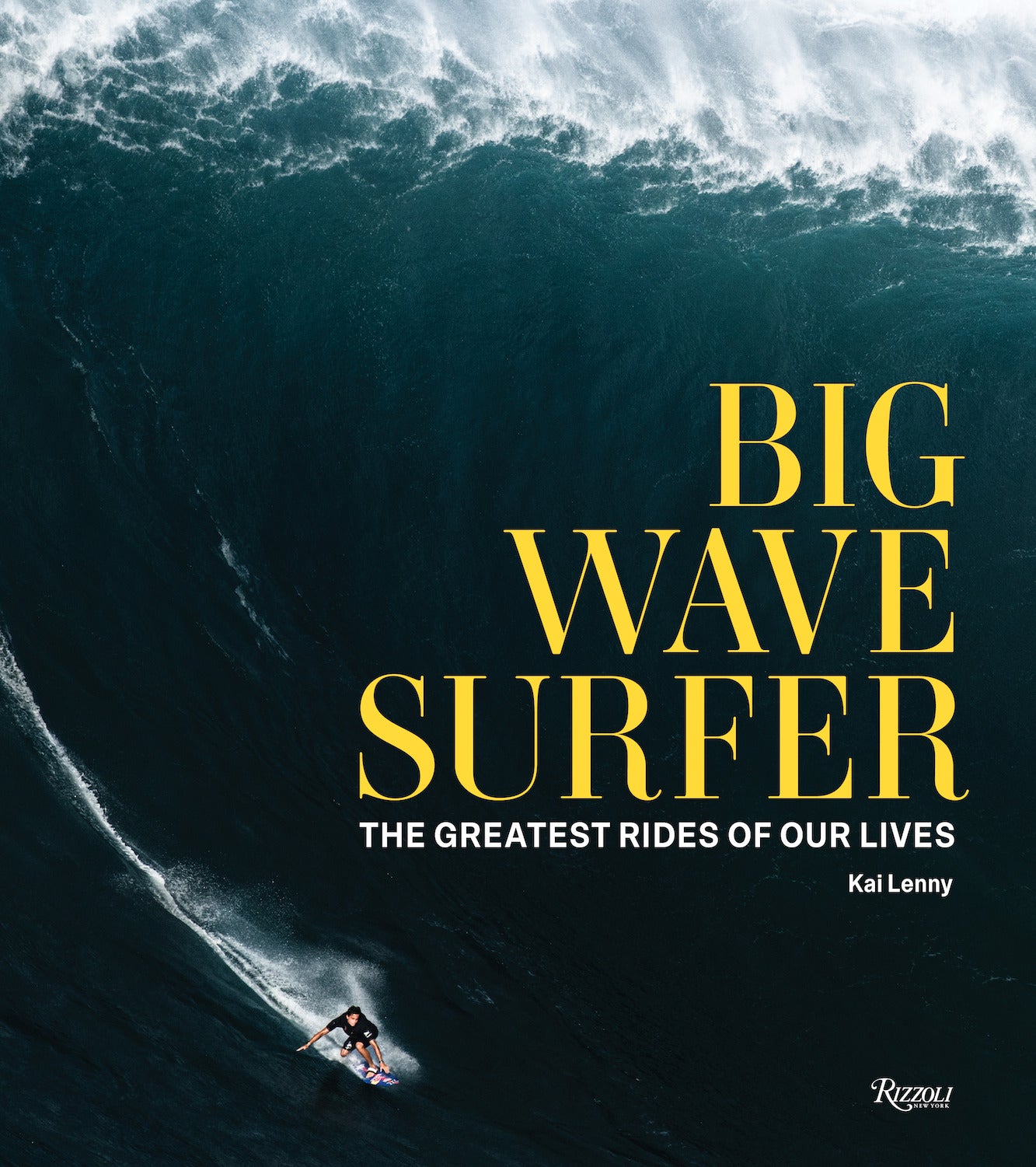 Big Wave Surfer book cover