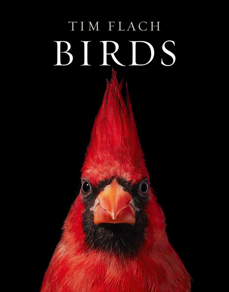 Birds book cover