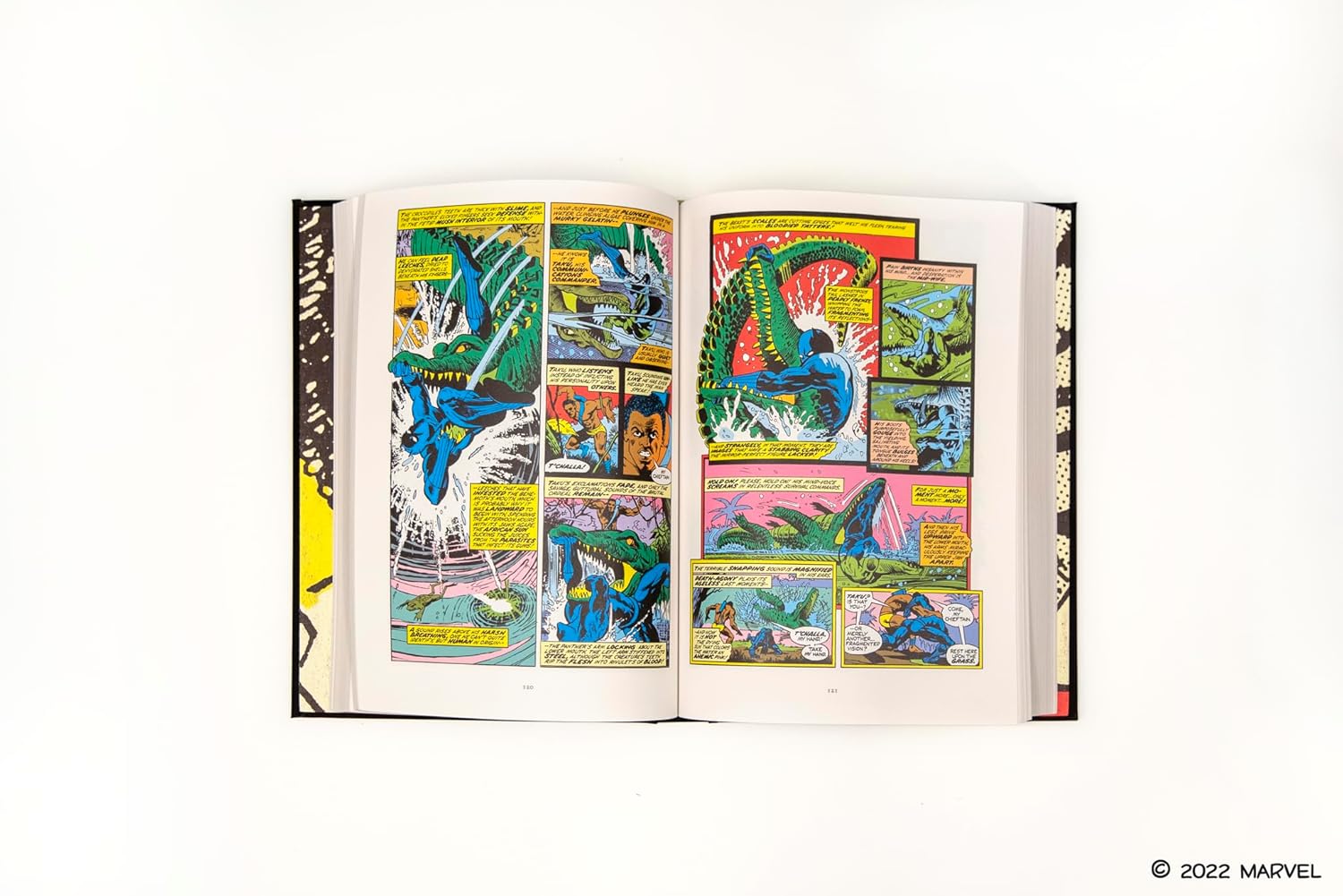Black panther book inside