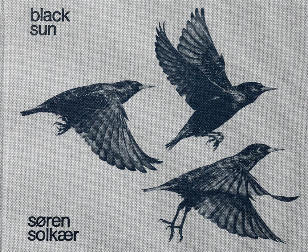 Black Sun book cover