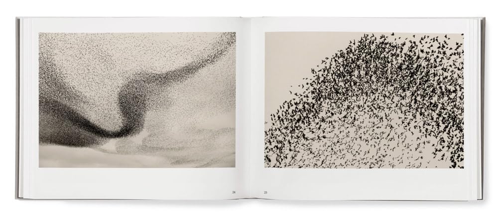 Black Sun book inside