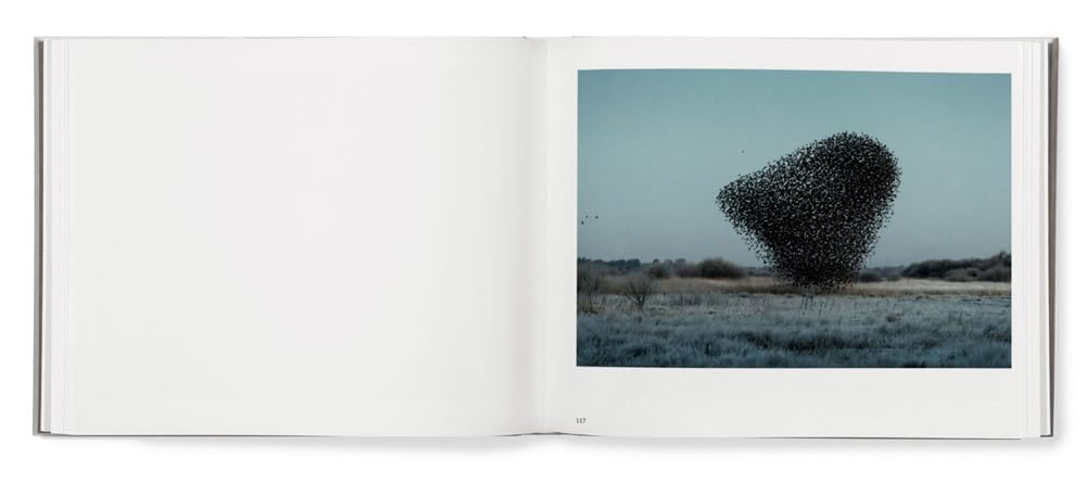 Black Sun book inside