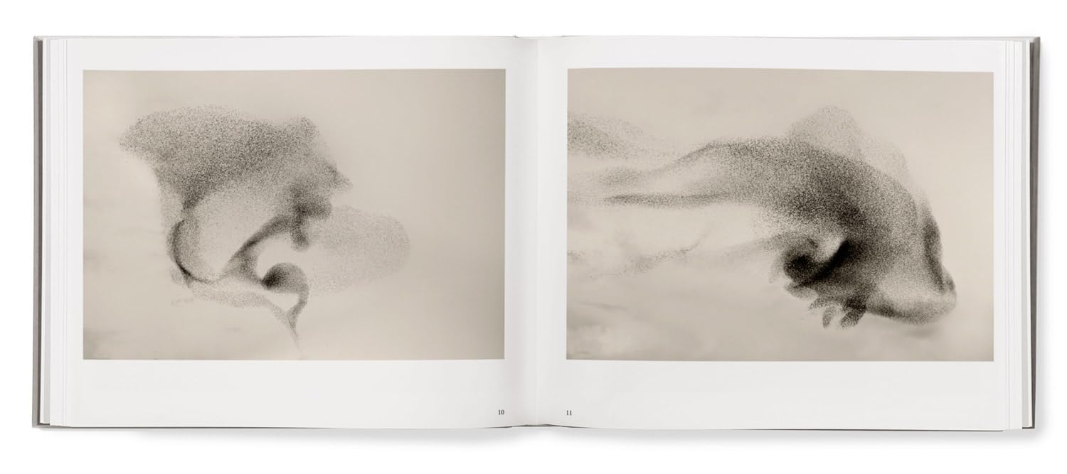 Black Sun book inside