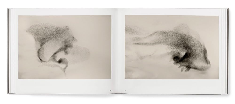 Black Sun book inside