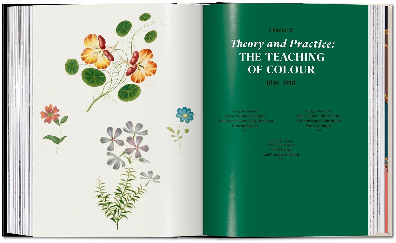 The Book of Colour Concepts inside