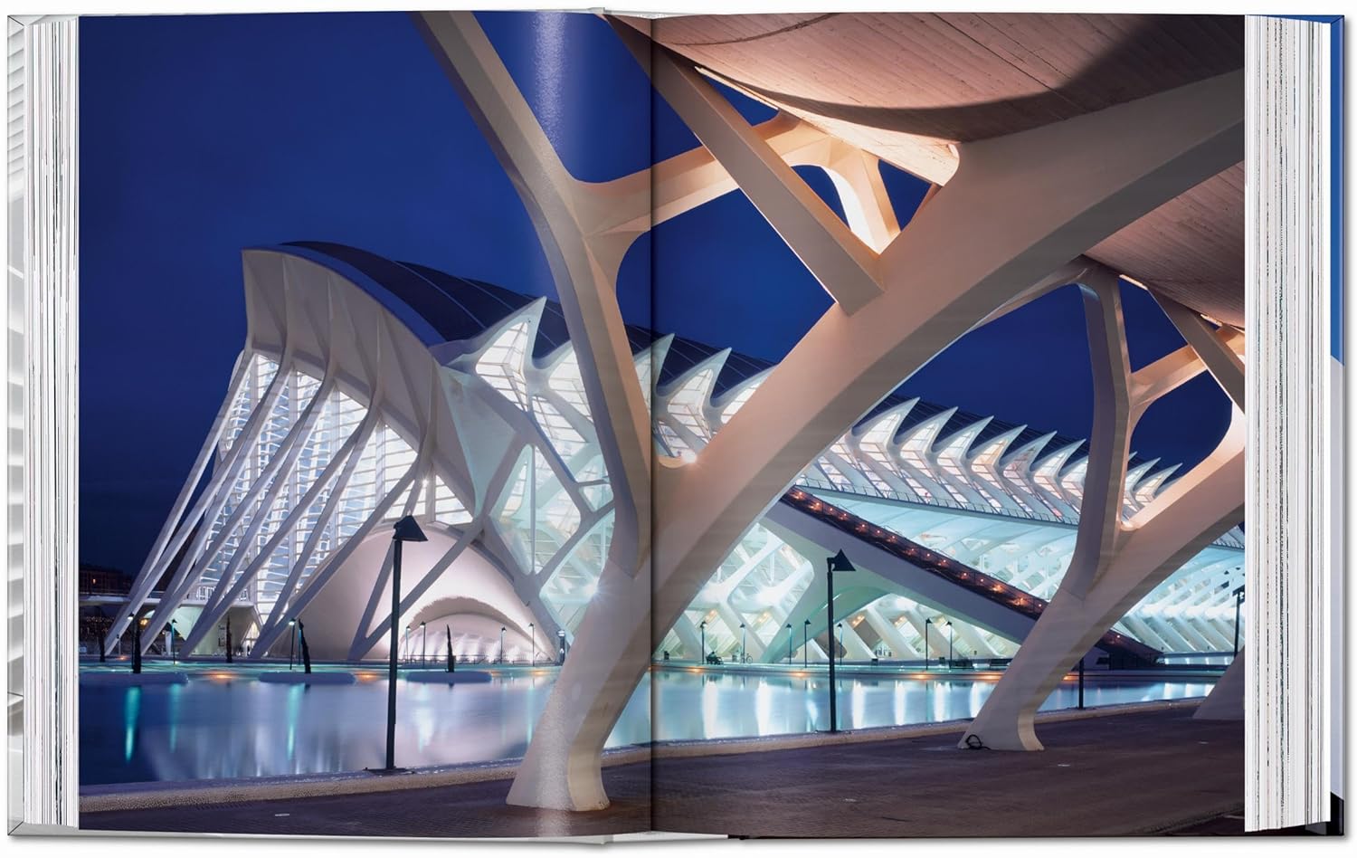 Calatrava book inside