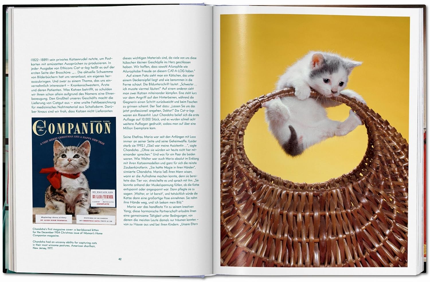 Cats book inside