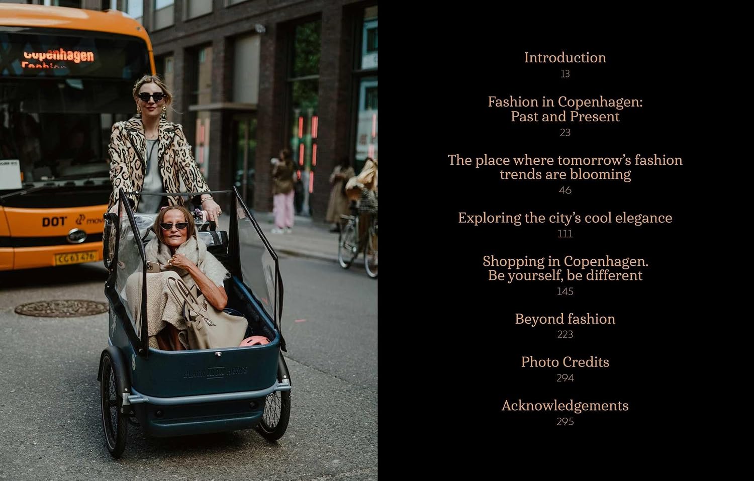 Copenhagen in Fashion book inside