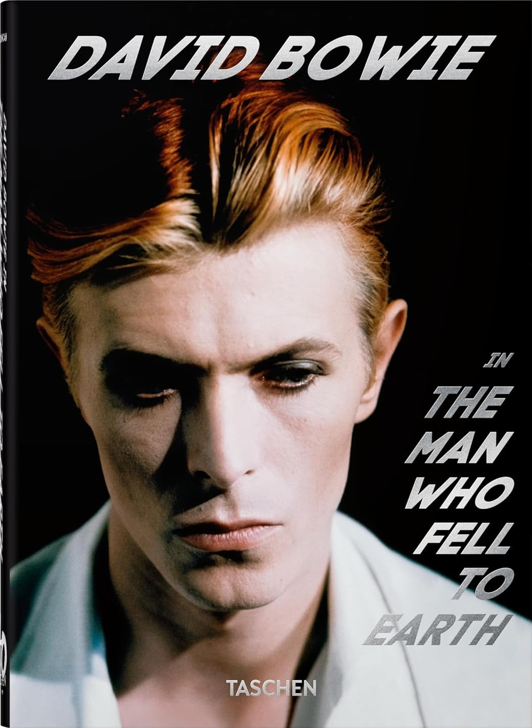 David Bowie: the Man Who Fell to Earth book cover