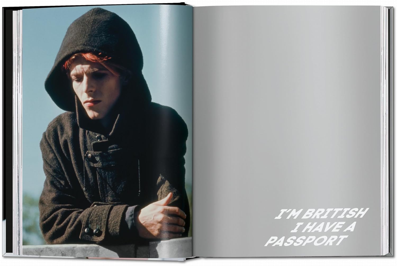 David Bowie: the Man Who Fell to Earth book inside