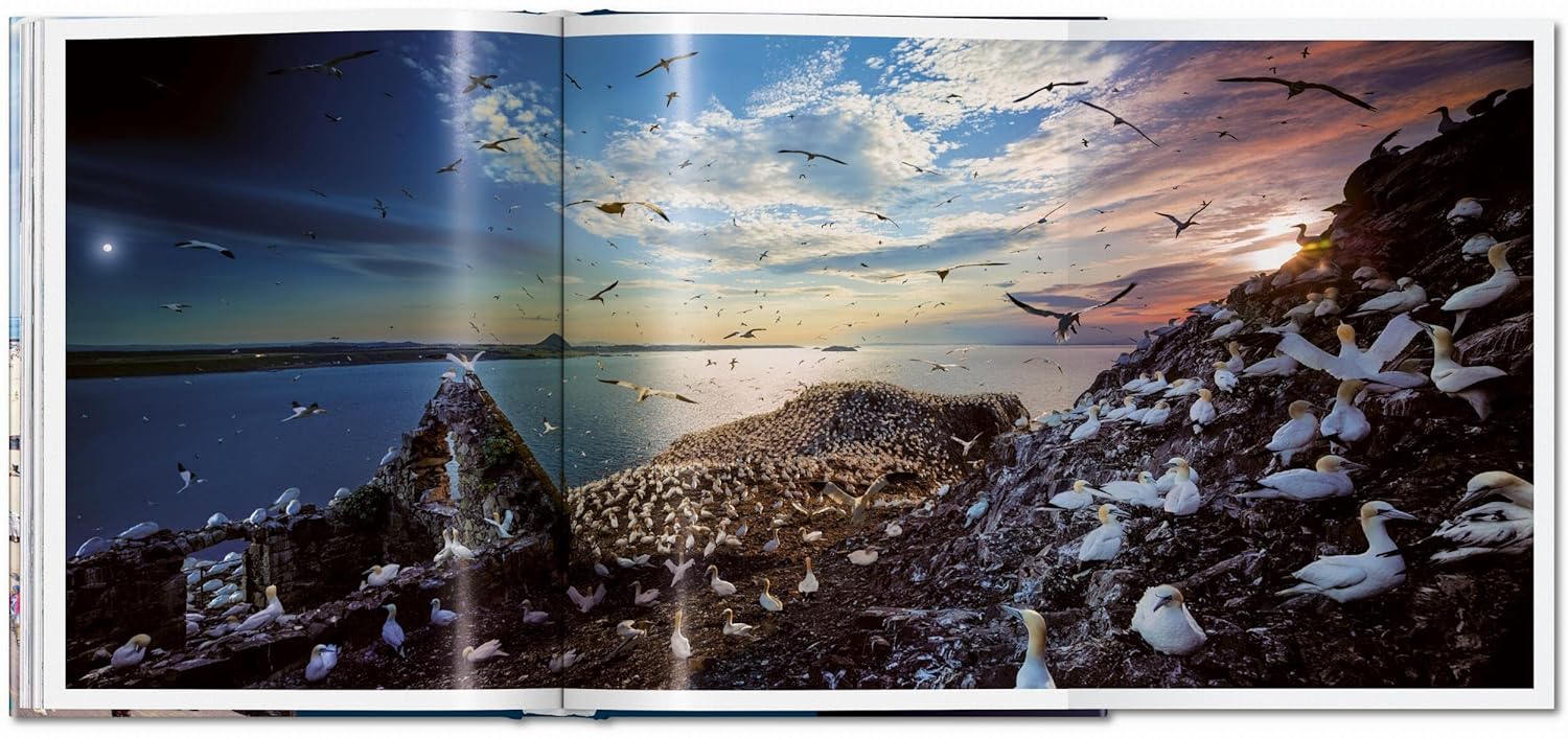 Day to night book inside