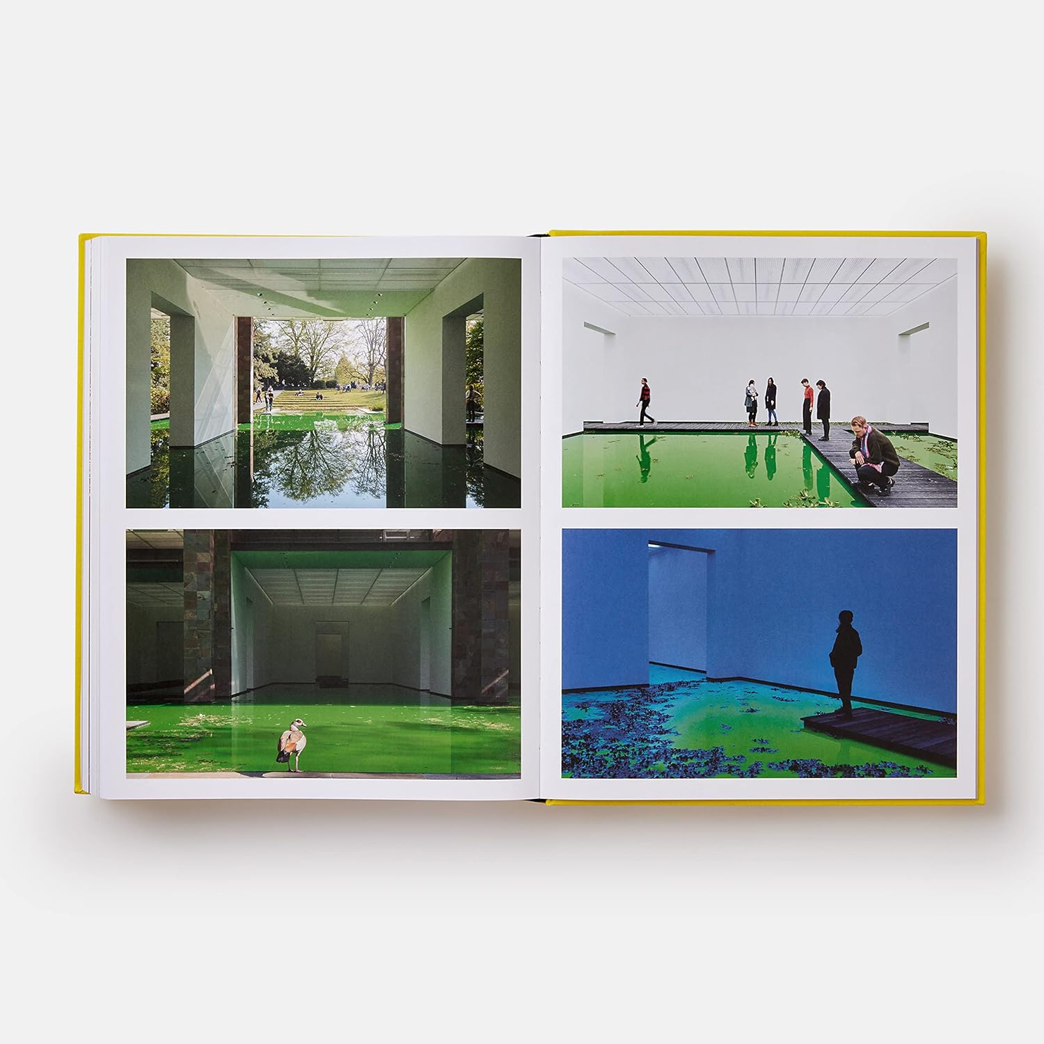 Experience book inside