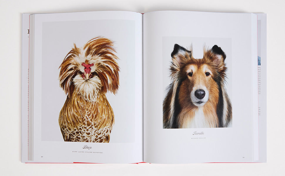 Farm Life book inside